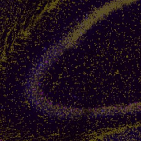 Fu Jf Github - Abstract Pattern Collection - Retina Quality