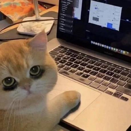 Github Anonghostid Safezone - Incredible High Resolution Space Patterns | Free Download