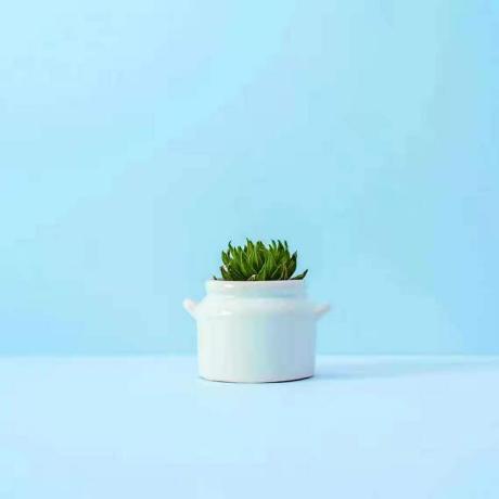 Tusiwei Github - High Quality Full HD Minimal Textures | Free Download