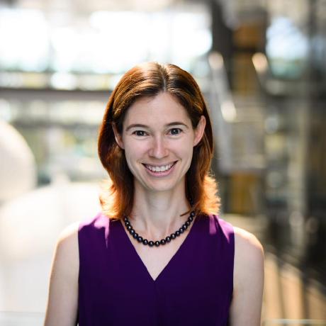 Doyle Lab - Sunset Pattern Collection - Retina Quality