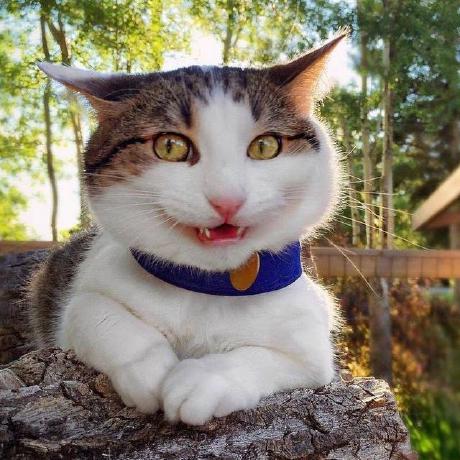 Son Be Github - Best Geometric Illustrations in High Resolution