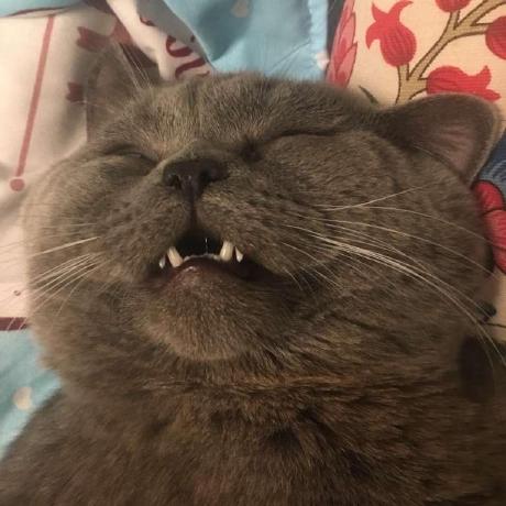 Congyu Liu - Download Gorgeous Abstract Picture | Desktop