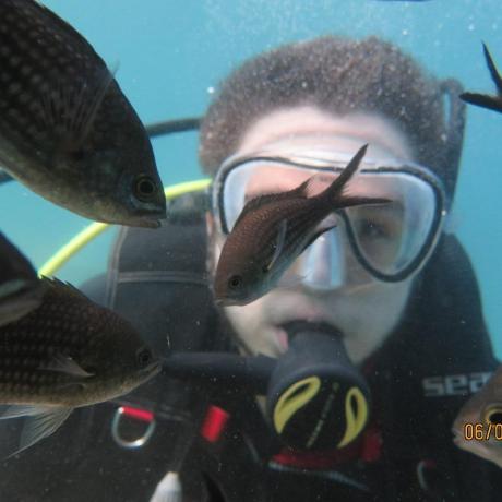 Itamarm Itamar Github - Incredible Geometric Illustration - 8K