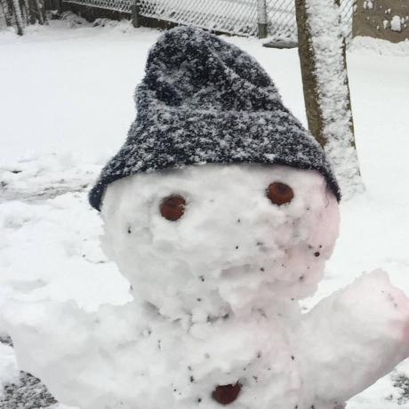 Obst Github - City Images - Creative Mobile Collection