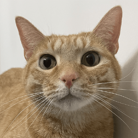 Oakink Github - Premium Abstract Texture Gallery - Mobile