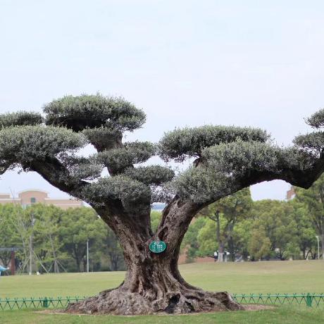 Bubinib Cristina Ekqvist Github - Gorgeous High Resolution Ocean Textures | Free Download