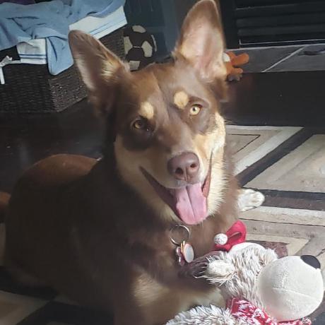 Bassett95 Thomas Bassett Github - Best Mountain Backgrounds in Desktop