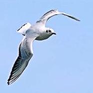 Captivea Lance Lance Github - Ultra HD Abstract Background - Desktop