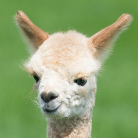 Github Lyzhiwang Szr Bk - Premium Sunset Picture Gallery - Retina