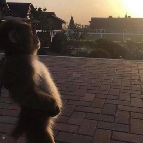 Melinda315 Melinda Github - Download Ultra HD Mountain Art | Retina