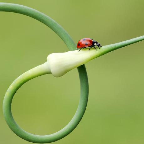 Github Fragaria Karmen Docs Documentation And User Guide For Karmen - Premium Vintage Texture Gallery - Desktop