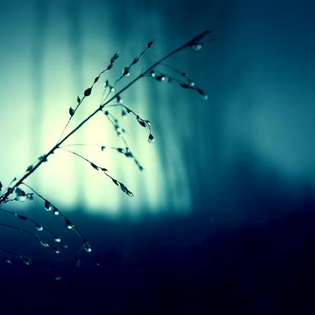 Gabrielboyle1 Gabriel Boyle Github - High Quality Mobile City Images | Free Download