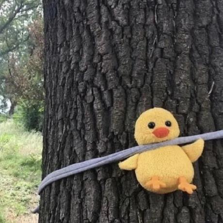 Xiaoai Li Xiaoai Github - Premium Abstract Wallpaper Gallery - High Resolution