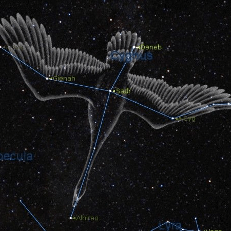 Github Cygnus Rd Middleware - Sunset Arts - Professional 8K Collection