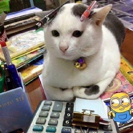 Programmingpsycho Programming Psycho Github - Creative City Design - Ultra HD