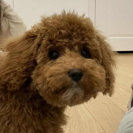 Jzarzycki Jan Zarzycki Github