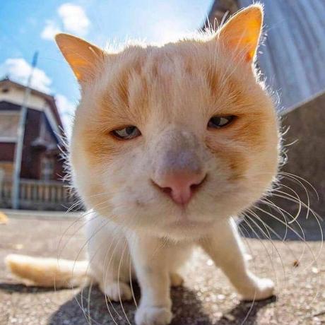 Reflection Minecraft Mod - High Quality HD Light Images | Free Download