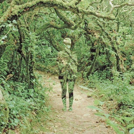 Kevinwchang Kevin Chang Github - Download Artistic Sunset Photo | Ultra HD