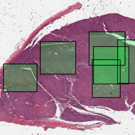 Gutmanlab Gutman Lab Github - Download Incredible Mountain Photo | Retina