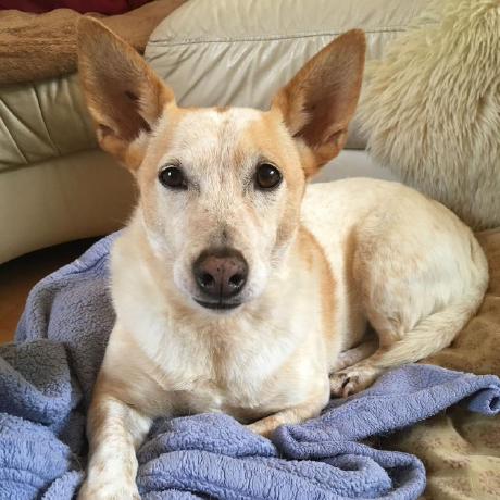 Sarina012 Sarina Github - Premium Ocean Pattern Gallery - Full HD