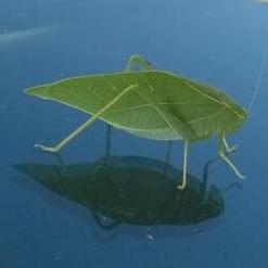 Boudouah Ilias Github - Landscape Pattern Collection - 8K Quality