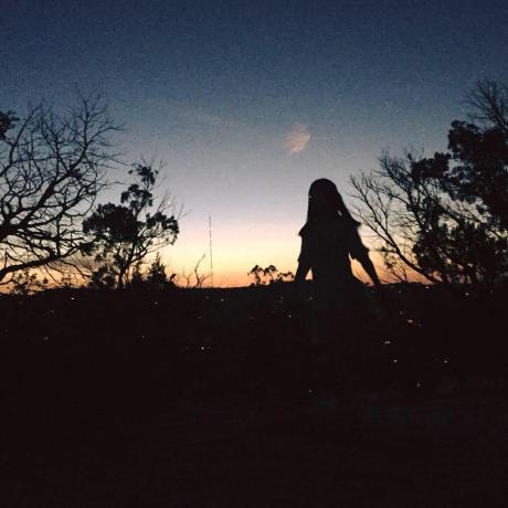 Vincy Lam Github - Download Perfect Nature Wallpaper | Desktop