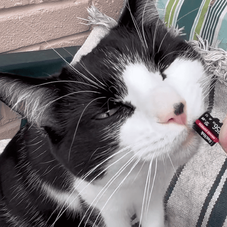 Github Youtube Enhancer Extension A Browser Extension To Enhance Youtube - Classic Gradient Picture - Mobile