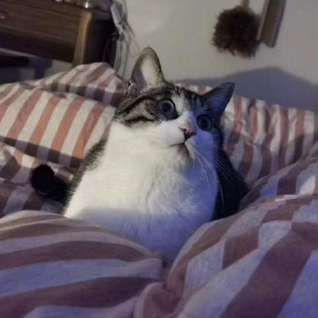 Github Yaoyinying Folddock - Sunset Design Collection - Retina Quality