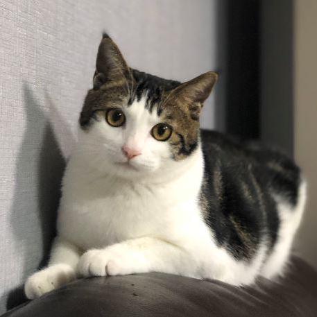 I Love Jyk Github - Premium Dark Illustration Gallery - Ultra HD