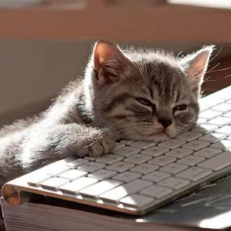 Lfy Lfy Github - Retina Light Pictures for Desktop