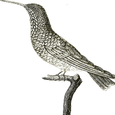 Github Stefanbuck Tents - Premium Vintage Pattern Gallery - Full HD