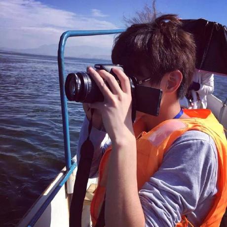 Clinplayer Cheng Lin Github - Premium Nature Pattern Gallery - Desktop