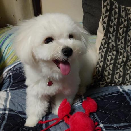 Aryaryuga07 Ryuga Github - 8K Space Designs for Desktop