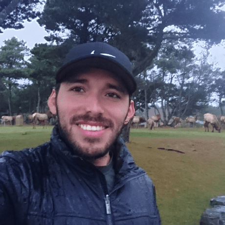 Github David Molina Torres Portfolio - Mobile Light Patterns for Desktop