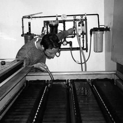 Ntkunz Nich Github - Premium Gradient Illustration Gallery - Desktop