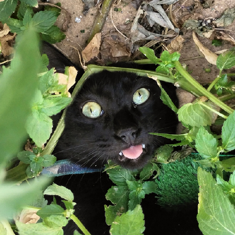 Zraymene Zeroual Aymene Github - Best Dark Textures in Retina