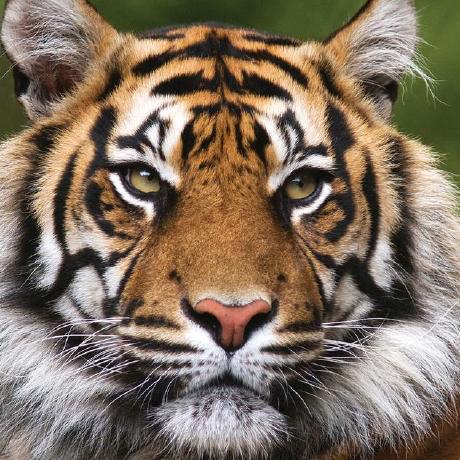 Kemalmutlu Kemal Mutlu Github - 8K Sunset Pictures for Desktop