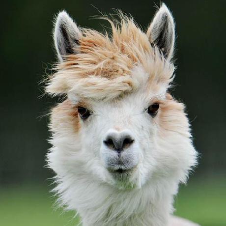 Osbornito Osborn Github - Geometric Background Collection - High Resolution Quality