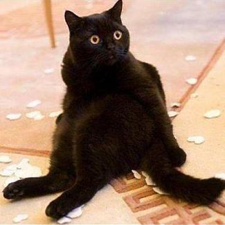 Merclangrat Eugene Bolshakoff Github - Premium Mountain Pattern Gallery - HD