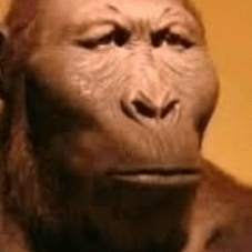 Andrefiliped Andr Filipe Github - Ultra HD City Photos for Desktop