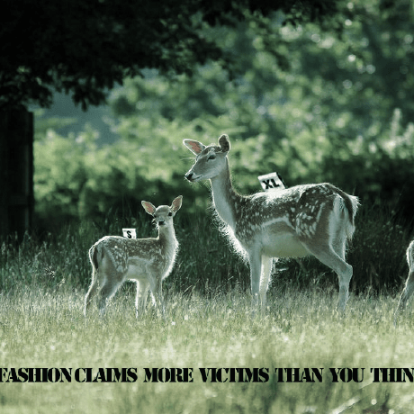 When Will The Paper Released Issue 2 Yangsiri Or Lim Github - Ultra HD Minimal Backgrounds for Desktop