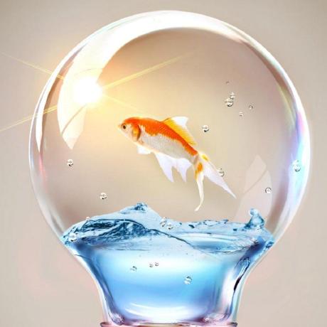 Issue 1 Budfg Caoz Github - Minimal Illustrations - Creative Desktop Collection