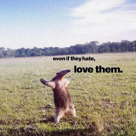 Jasper Le Github - HD City Images for Desktop