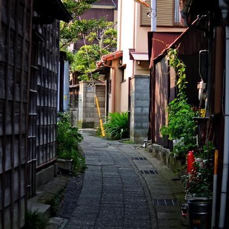 Jkazama Junichiro Kazama Github - Landscape Art Collection - Retina Quality