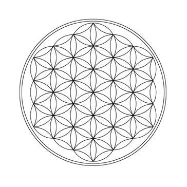 Github Metalmantis Tomorrowblender Tomorrow Https Github Com - Elegant Landscape Illustration - 4K