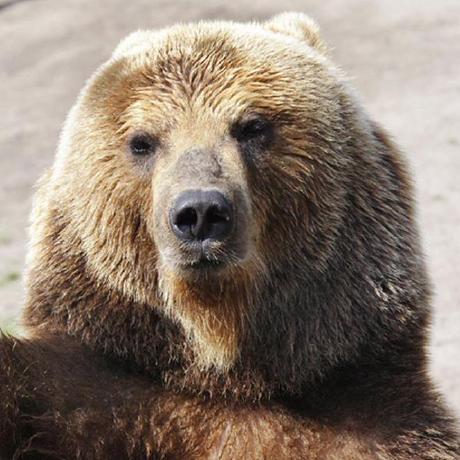 Toprak Github - Space Texture Collection - 8K Quality