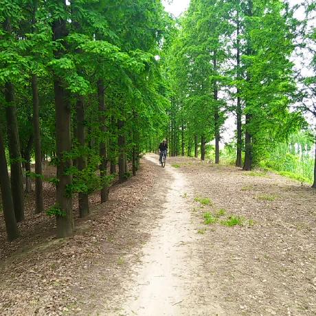 Lightcity Github - Light Wallpapers - Classic Desktop Collection