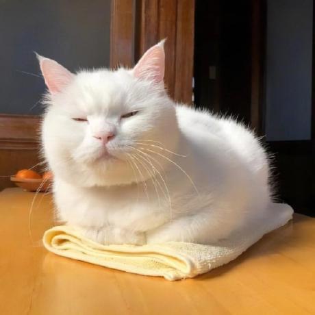 Github Zhiyu1998 Rconsole Plugin Yunzai Bot - Best Gradient Designs in Mobile