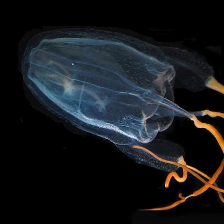 Joe Ryan Github - Space Wallpapers - Creative 8K Collection