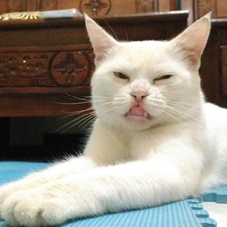 Github Yogidm Raspberry Pi Indonesia Berikut Beberapa Referensi - Mountain Background Collection - HD Quality